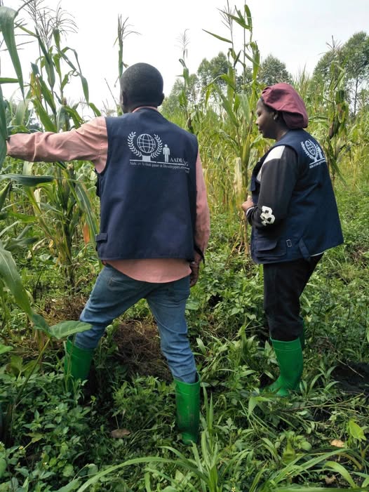 Renforcement de la résilience alimentaire dans la zone de santé de Mweso